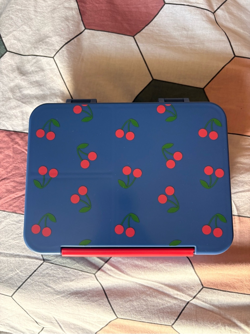 NEW Kids Blue Cherry Print Bento Box